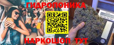 винт Владимир