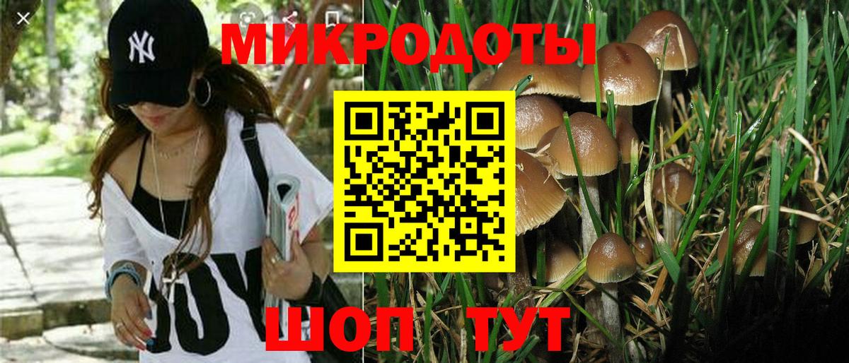 Псилоцибиновые грибы мицелий  Вход с VPN  Владивосток  Псилоцибиновые грибы Psilocybe 